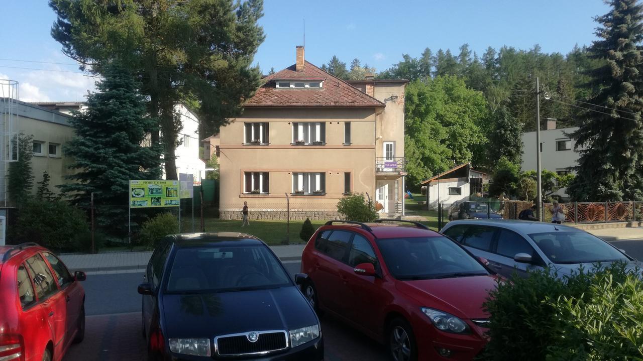 Vila Sazava Buitenkant foto